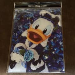 東京ディズニーリゾート ドナルドダック クリアファイル