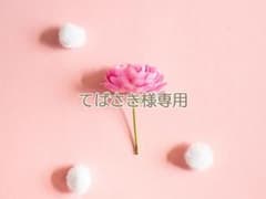 専用ページのサムネイル