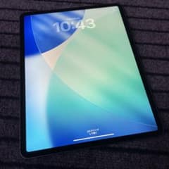 148 【早い者勝ち】 iPad Pro 12.9 4世代 128GB - メルカリ
