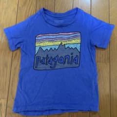 patagonia パタゴニア　Tシャツ　2Tのサムネイル