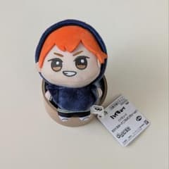 ハイキュー!! 日向翔陽 ちびぐるみ アニマルポンチョ vol.1