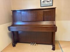 m16563568302_1.jpg?1758926299