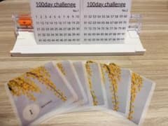100day saving 【貯金リフィル】ミモザのサムネイル