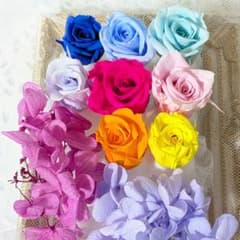 ハーバリウム花材⑭◇【訳あり花材〈プリザーブドフラワー〉】 - メルカリ