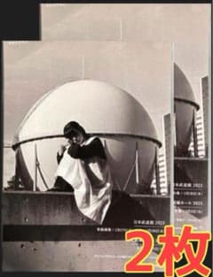 カネコアヤノ タオルケットは穏やかな 表面のみ ミニポスター フライヤー ５枚 カネコアヤノ タオルケットは穏やかな 表面のみ ミニポスター