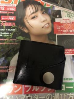 smart12月号増刊の付録のサムネイル