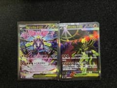 メガシガルデex SAR SR 2枚セット 美品 - メルカリ
