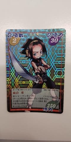 シャーマンキング 超・占事略決 麻倉葉 EX2 Ver スペシャルレア - メルカリ