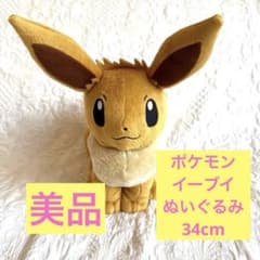 이브이 봉제 인형 중형 34cm 포켓몬