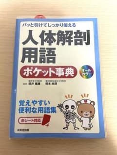 人体解剖用語 ポケット事典のサムネイル