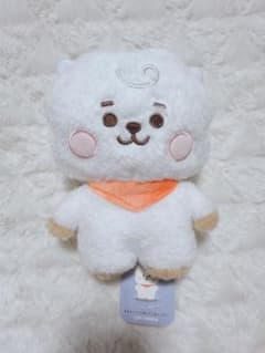 BT21 단단한 봉제인형 RJ JIN