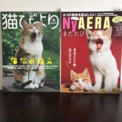 猫びより  平成29年 5月号   ニャエラ 平成29年58号のサムネイル