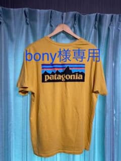 patagonia パタゴニア Tシャツのサムネイル