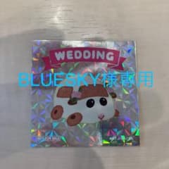 BLUESKY様専用のサムネイル