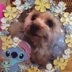 確認用のサムネイル