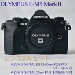 美品・シャッター回数1178回】オリンパス OM-D E-M5 Mark II - メルカリ