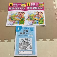 教科書ワーク　確認　発展テストのサムネイル
