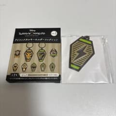 트위스테 아이콘 메탈 키홀더 Vol.2 세벡