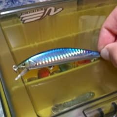 トリコロールGTのサムネイル
