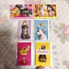 お値下げ 色んな種類の猫さんがかわいい ミニメッセージカード6枚セット(未使用)のサムネイル