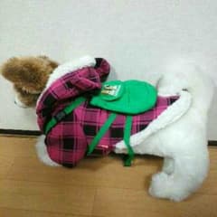 可愛いわんこ♥にゃんこに！！のサムネイル