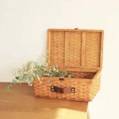 salut!サリュ 水杉トランクバスケット ★最終値下げ★のサムネイル