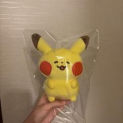 ポケモンユルットピカチュウ カナヘイさんコラボ ぬいぐるみのサムネイル