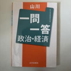山川 一問一答政治・経済のサムネイル