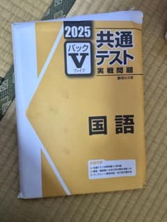 2025 共通テスト実戦問題 パックV 国語 駿台文庫のサムネイル