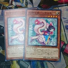シラユキのサムネイル