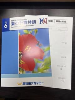 新品】桜蔭中合格のための夏の計算特訓 小6 早稲田アカデミー NN桜蔭