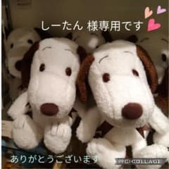 しーたん様専用てす♪のサムネイル