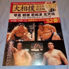 大相撲名力士風雲録 第9号 琴風 朝潮 若嶋津 北天佑のサムネイル