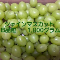 シャインマスカット　B品粒1,000グラム ⑪のサムネイル