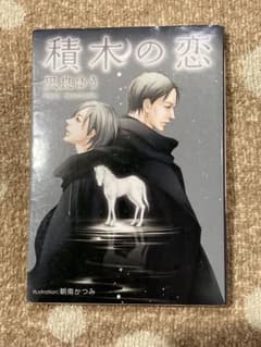 積木の恋／凪良ゆうのサムネイル