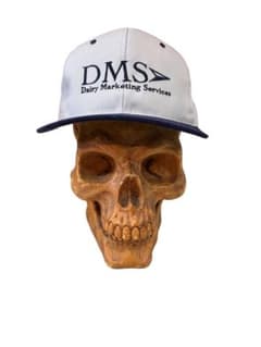 ユーズド　トラッカーキャップ Trucker Cap