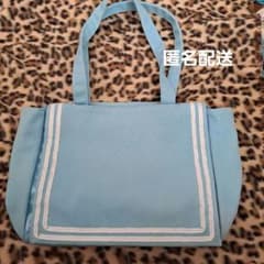 隠せるハンド痛バッグのサムネイル