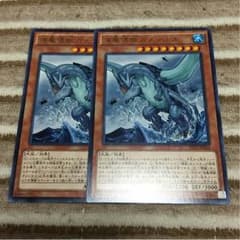遊戯王 ガメシエル 2枚のサムネイル