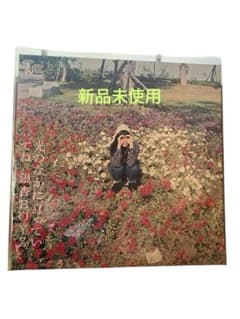 銀杏BOYZ 光のなかに立っていてね LP ゴイステ going steady 銀杏BOYZ 光のなかに立っていてね LP ゴイステ going steady - メルカリ