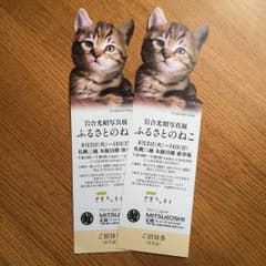 札幌三越 岩合光昭 写真展 ふるさとのねこ 招待券 2枚 世界ネコ歩きのサムネイル