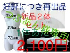 つぶあん様　専用　特価新品❣️2個セット壁掛ハーフトルソー婦人2個マッホワイトのサムネイル