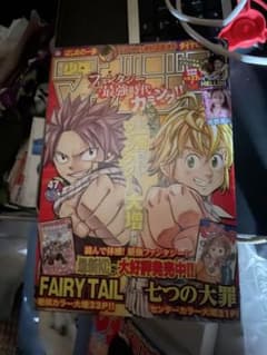 週刊少年マガジン 2013年47号※FAIRY TAIL 七つの大罪 表紙 週刊少年マガジン 2013年47号 FAIRY TAIL 七つの大罪 - メルカリ