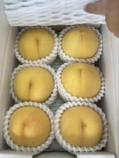数量限定福島県産黄金桃マンゴーピーチ箱込み約1.8kg贈答用玉数