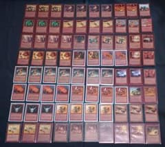 赤の旧枠優良カード20枚まとめ売り（英語）Anarchy 稲妻 他 MTG MTG 赤カードまとめ売り 80枚セット - メルカリ