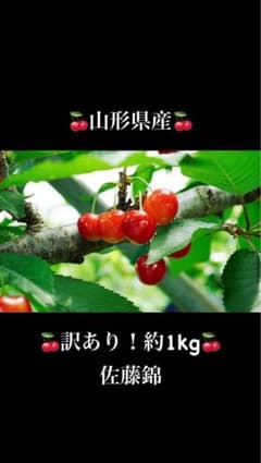 訳あり ほぼL以上！約1kg 1キロさくらんぼ　佐藤錦 さとうにしき 山形県産！のサムネイル