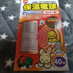 保温電球のサムネイル