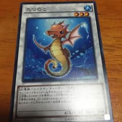 たつのこです！のサムネイル