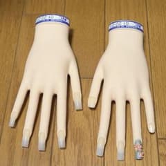 折れなし】JNEC認定モデルハンド 2体セット【1級合格チップ付き