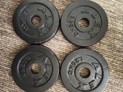 ALEX ダンベルプレート 1.25kg 4枚セット - メルカリ