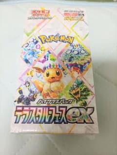 ポケモン テラスタルフェスexのサムネイル
